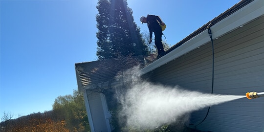 Roof Soft Washing